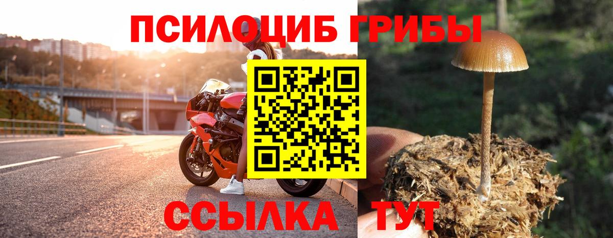 наркошоп  Галлюциногенные грибы прущие грибы  Вход с VPN  Нижнеудинск 