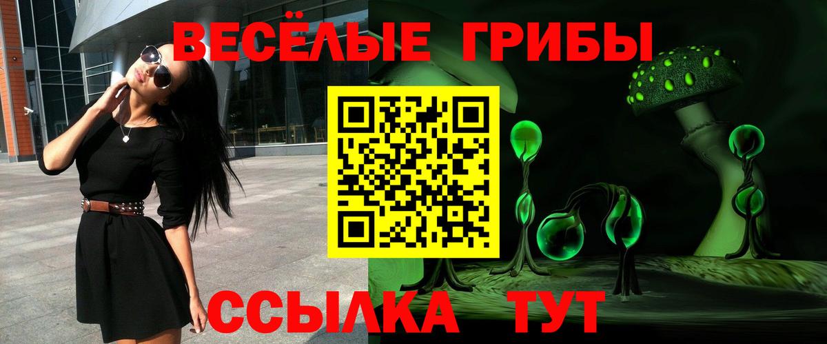 Псилоцибиновые грибы мухоморы Нижнеудинск